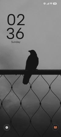 Fence Bird