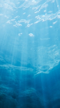 The sun shines on the sea surface.