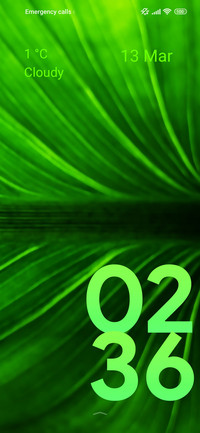nature leaf