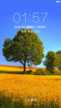 油菜花田里的树 右滑解锁