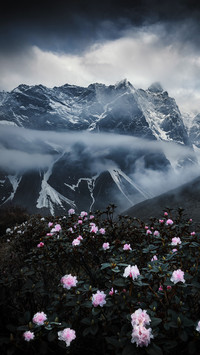 Outdoor hiking 72