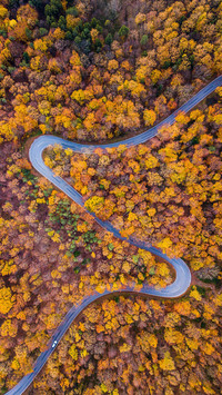 The most recommended self driving route in autumn 05