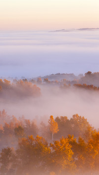 Morning Fog and Cloud Sea