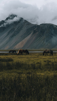Iceland mountain landscape, South coast