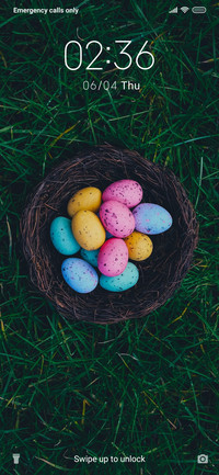 Eggs_3MDS