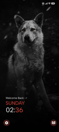 Shadow Wolf