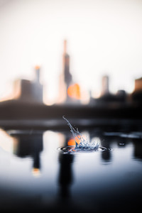 Motion Blur