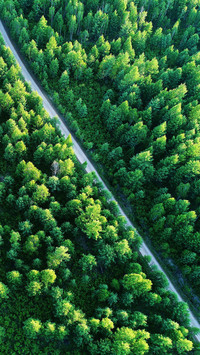 Essential items for self driving tours 9
