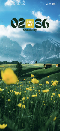 Flower Field