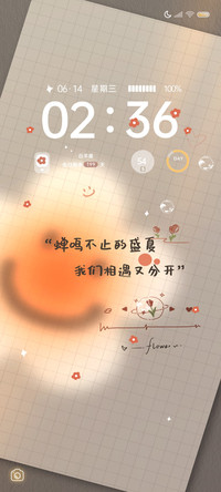 盛夏鸣蝉 治愈光影