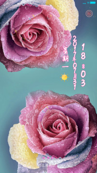冷艳玫瑰