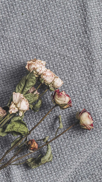 What is the meaning of roses 8