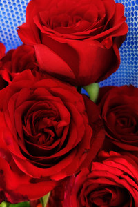 Roses.jpg
