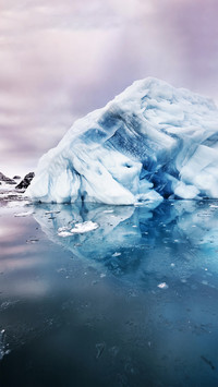 Arctic frost landscape