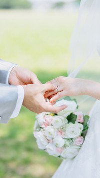 人生若只如初见