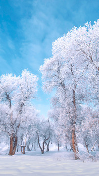 大雪