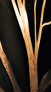 Capture the gilded tidal flats in the frame 2