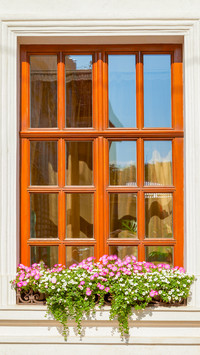 The flowers on the windowsill