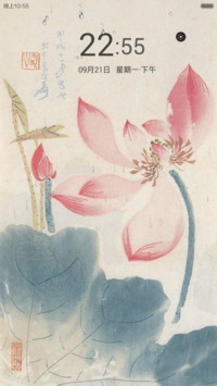 水墨莲花（锁屏特效+全图标）