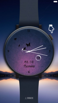 Watch pro