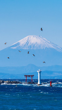 Who can own mount fuji by love