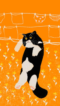 Funny cat with fancy, colorful sunglasses