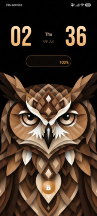 Owl Wisdom