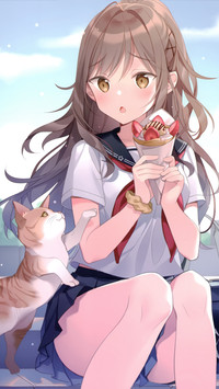 傲娇的猫
