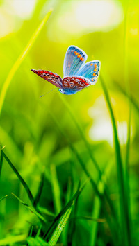 The Beauty of Nature