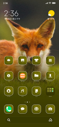 Wildlife_CuteFox