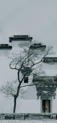 清雅之韵