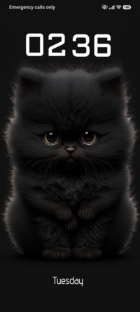 Tiny Noir