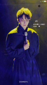 歌手迪玛希