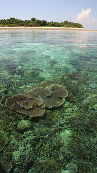 Indonesian landscape