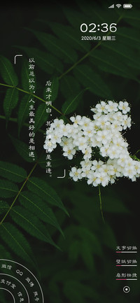 静谧的味道