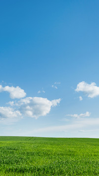 Green Grass And Blue Sky