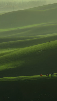 Grassland light and shadow