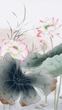 莲花有品