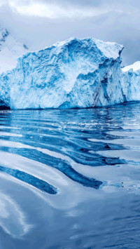 Polar glaciers