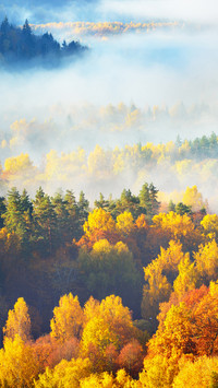 The Hills of Colorful Red, Orange and Yellow Trees