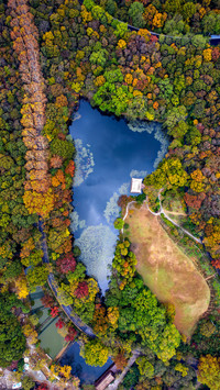 The most suitable place in autumn
