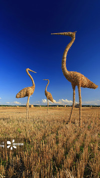 Farmland sculpture