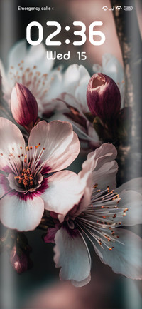 Flower Cherry