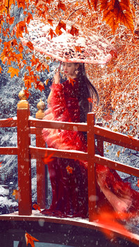 妖猫传
