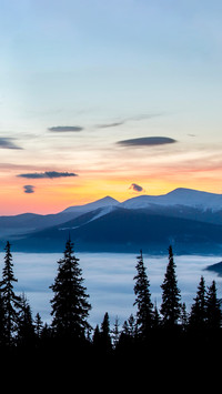 Winter Twilight