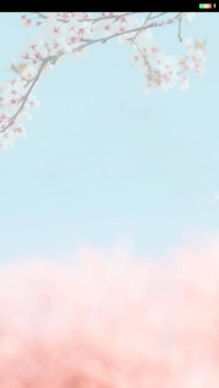 樱花物语