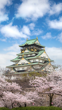 2020日本樱花季