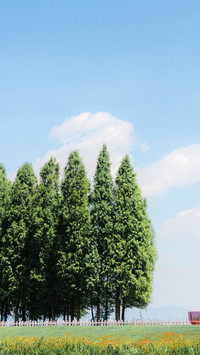 A gentle summer breeze brushes by