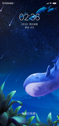 星光鲸鱼