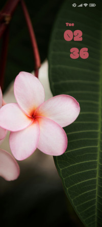 White Flower